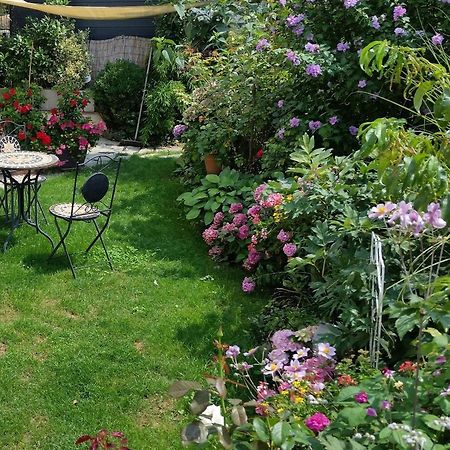 Ferienwohnung Am Berg, 35Qm Rickenbach  Exteriör bild
