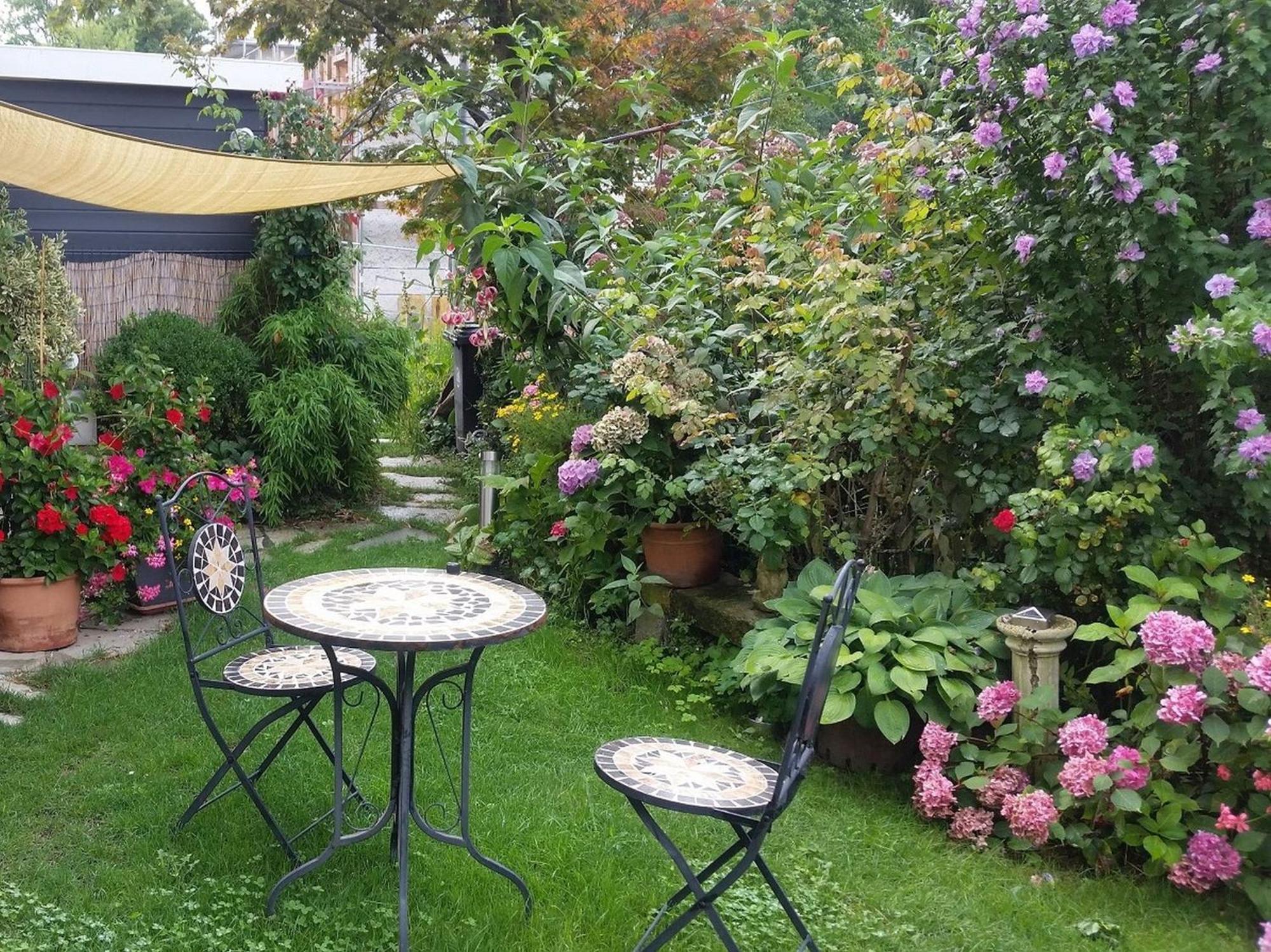 Ferienwohnung Am Berg, 35Qm Rickenbach  Exteriör bild
