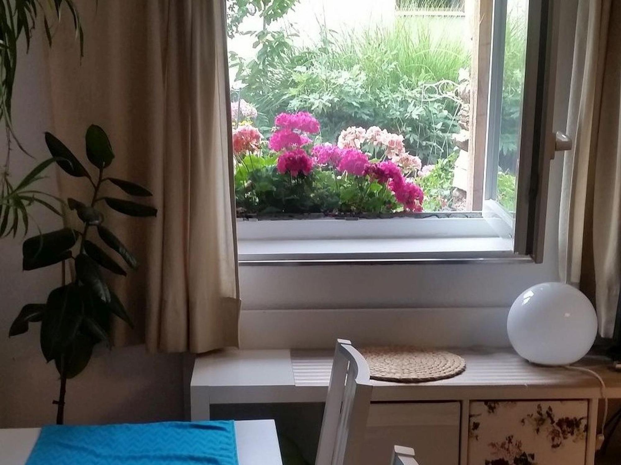 Ferienwohnung Am Berg, 35Qm Rickenbach  Exteriör bild